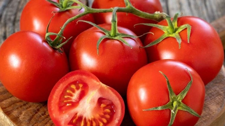 Bea tomate temp.jpg